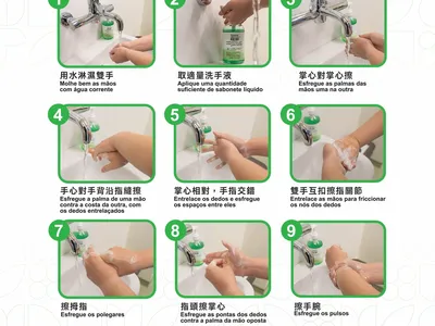 正確洗手步驟